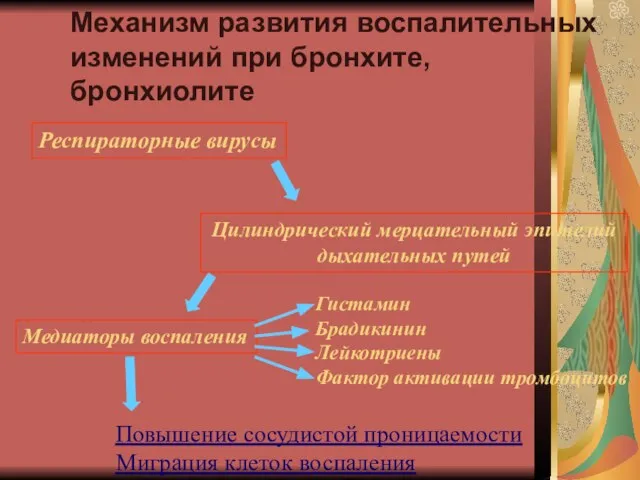 Механизм развития воспалительных изменений при бронхите, бронхиолите Респираторные вирусы Цилиндрический мерцательный эпителий