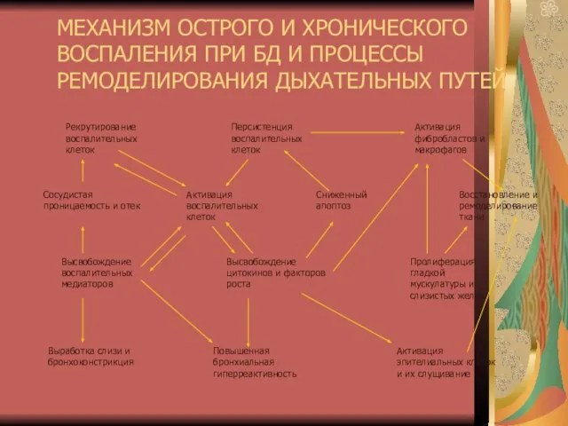 Рекрутирование воспалительных клеток Персистенция воспалительных клеток Активация фибробластов и макрофагов Сосудистая проницаемость