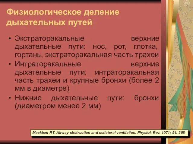 Физиологическое деление дыхательных путей Экстраторакальные верхние дыхательные пути: нос, рот, глотка, гортань,