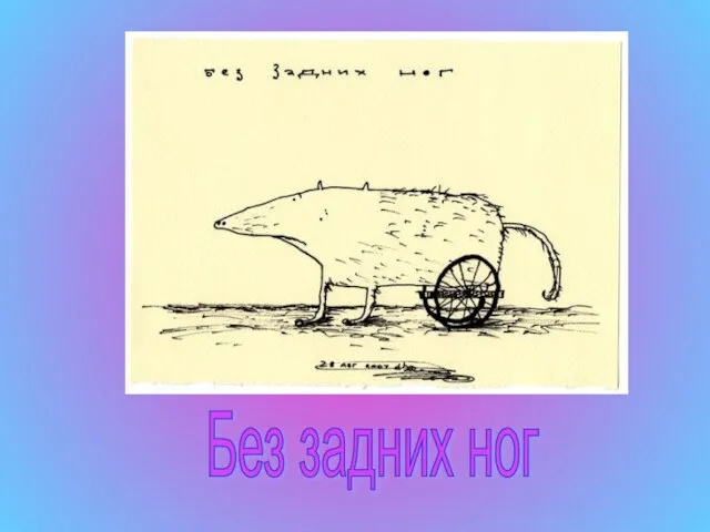 Без задних ног