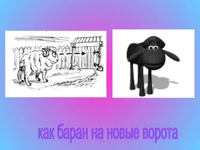 как баран на новые ворота