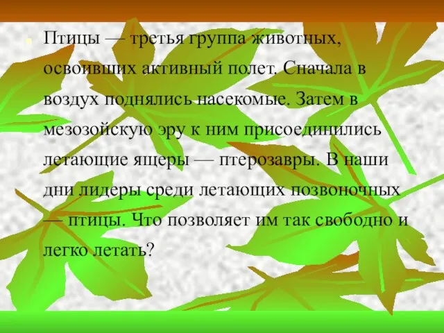 Птицы — третья группа животных, освоивших активный полет. Сначала в воздух поднялись