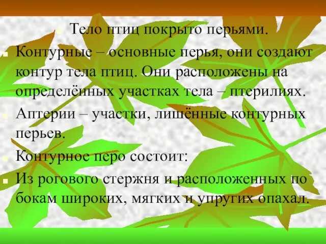 Тело птиц покрыто перьями. Контурные – основные перья, они создают контур тела