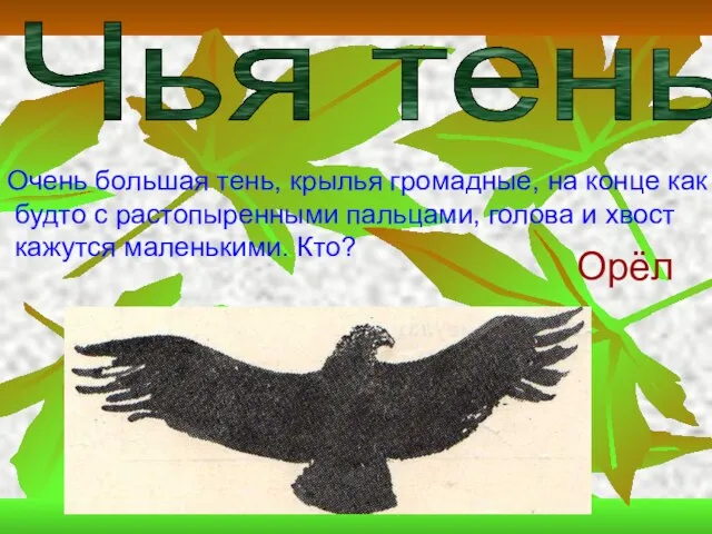 Чья тень? Очень большая тень, крылья громадные, на конце как будто с