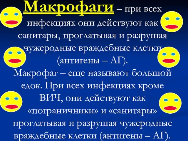 Макрофаги – при всех инфекциях они действуют как санитары, проглатывая и разрушая