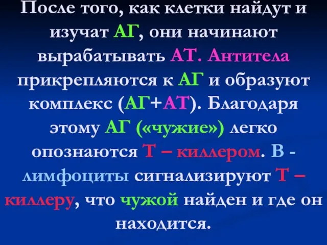 После того, как клетки найдут и изучат АГ, они начинают вырабатывать АТ.