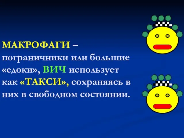 МАКРОФАГИ – пограничники или большие «едоки», ВИЧ использует как «ТАКСИ», сохраняясь в них в свободном состоянии.