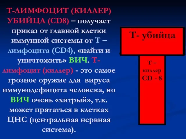 Т-ЛИМФОЦИТ (КИЛЛЕР) УБИЙЦА (СD8) – получает приказ от главной клетки иммунной системы