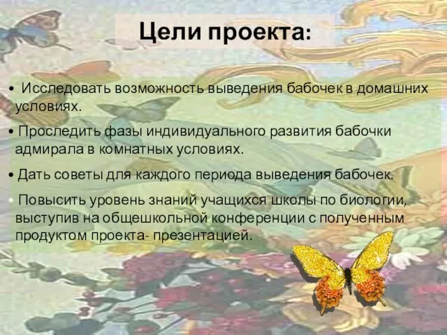 Исследовать возможность выведения бабочек в домашних условиях. Проследить фазы индивидуального развития бабочки