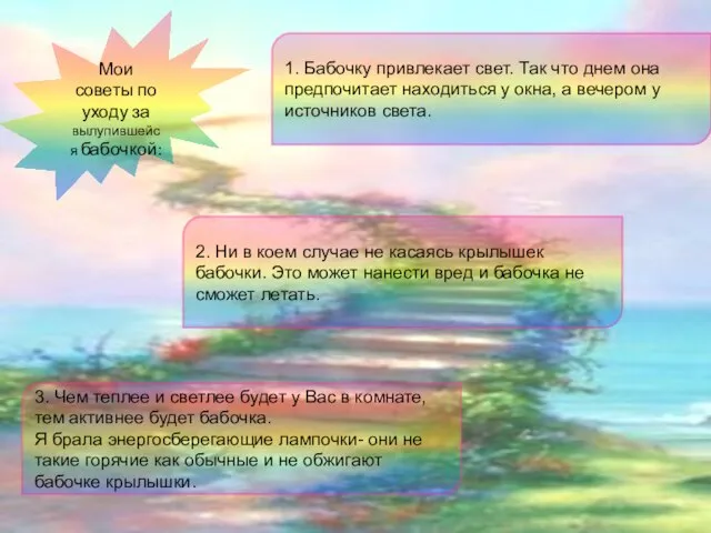 Мои советы по уходу за вылупившейся бабочкой: 2. Ни в коем случае