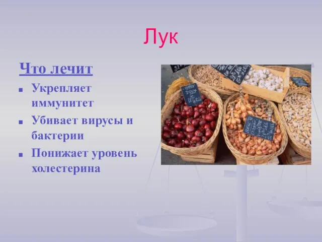 Лук Что лечит Укрепляет иммунитет Убивает вирусы и бактерии Понижает уровень холестерина