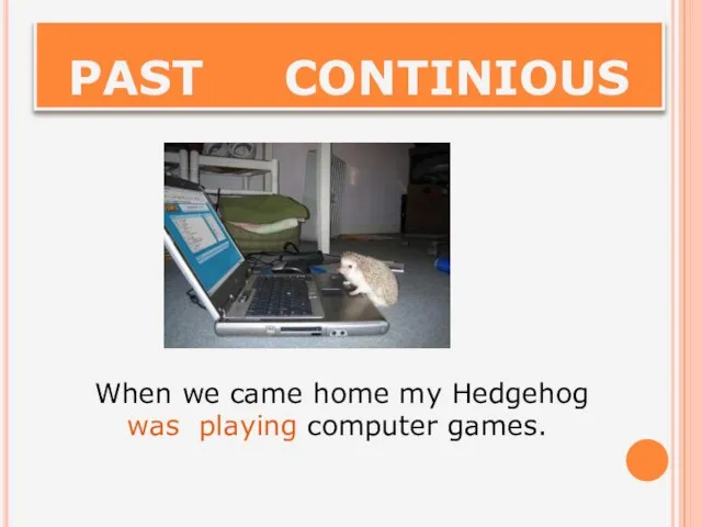 PAST CONTINIOUS When we came home my Hedgehog was playing computer games.