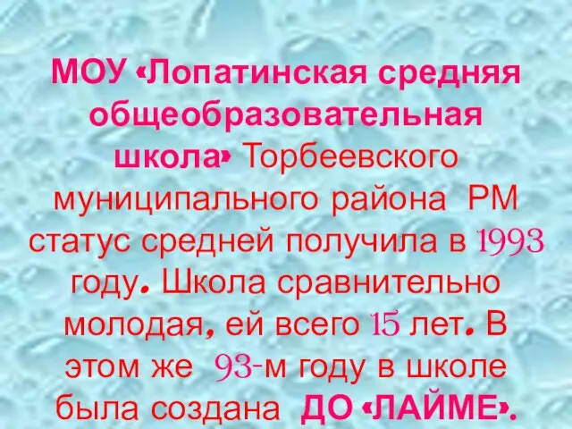 МОУ «Лопатинская средняя общеобразовательная школа» Торбеевского муниципального района РМ статус средней получила