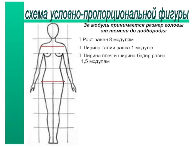 схема условно-пропорциональной фигуры За модуль принимается размер головы от темени до подбородка