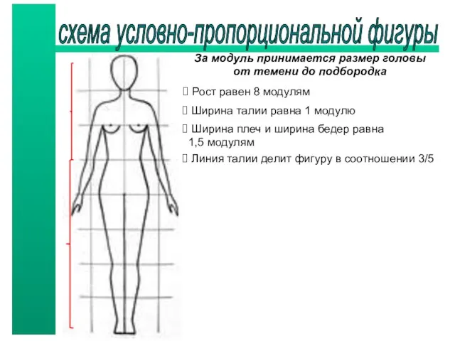 схема условно-пропорциональной фигуры За модуль принимается размер головы от темени до подбородка