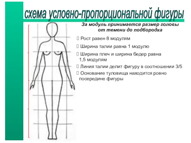 схема условно-пропорциональной фигуры За модуль принимается размер головы от темени до подбородка