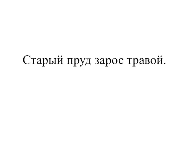 Старый пруд зарос травой.