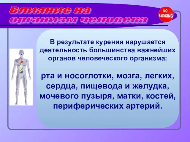 Влияние на организм человека В результате курения нарушается деятельность большинства важнейших органов