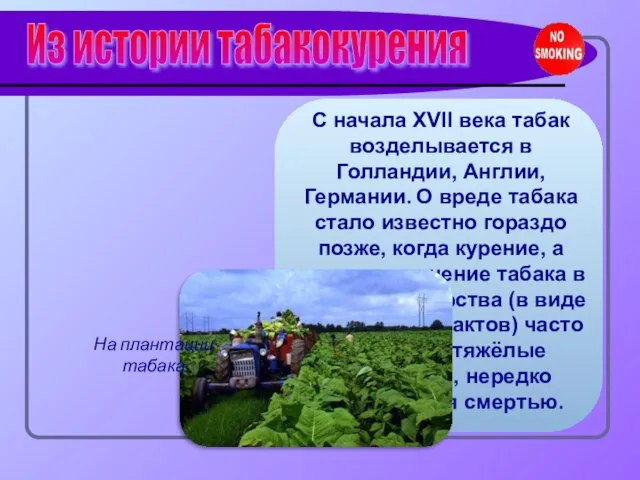 С начала XVII века табак возделывается в Голландии, Англии, Германии. О вреде