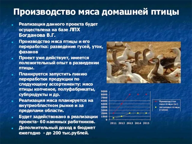 Производство мяса домашней птицы Реализация данного проекта будет осуществлена на базе ЛПХ