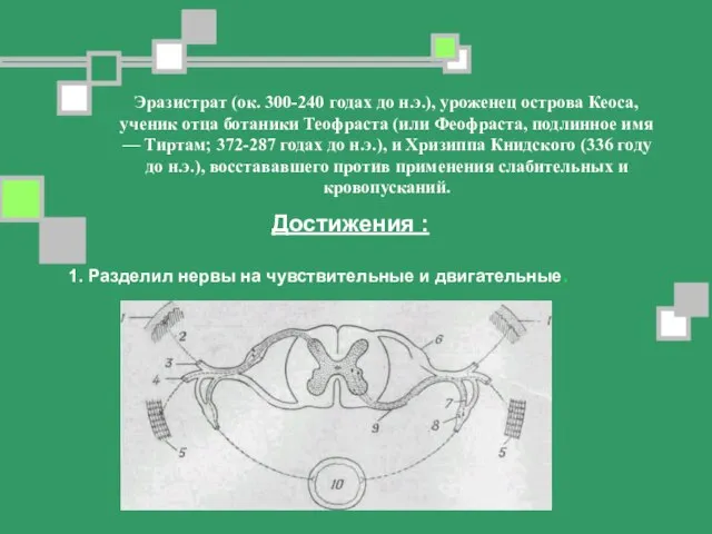 Эразистрат (ок. 300-240 годах до н.э.), уроженец острова Кеоса, ученик отца ботаники