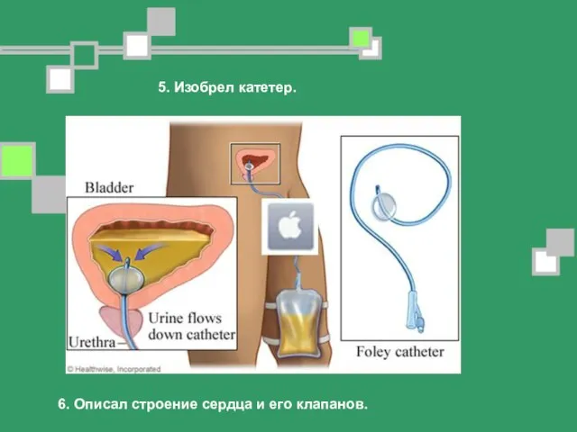 5. Изобрел катетер. 6. Описал строение сердца и его клапанов.