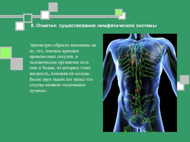 Эразистрат обратил внимание на то, что, помимо красных кровеносных сосудов, в человеческом