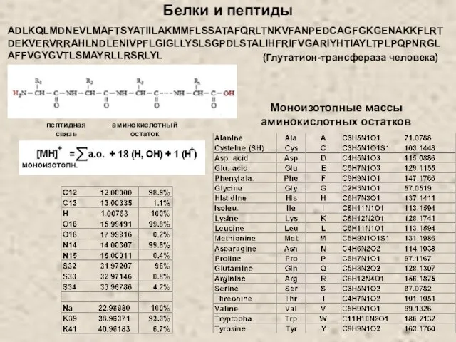 Белки и пептиды Моноизотопные массы аминокислотных остатков ADLKQLMDNEVLMAFTSYATIILAKMMFLSSATAFQRLTNKVFANPEDCAGFGKGENAKKFLRTDEKVERVRRAHLNDLENIVPFLGIGLLYSLSGPDLSTALIHFRIFVGARIYHTIAYLTPLPQPNRGLAFFVGYGVTLSMAYRLLRSRLYL (Глутатион-трансфераза человека) пептидная связь аминокислотный остаток