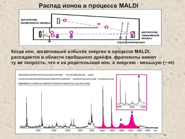 Когда ион, захвативший избыток энергии в процессе MALDI, распадается в области свободного