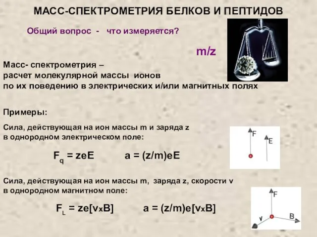 Общий вопрос - что измеряется? Масс- спектрометрия – расчет молекулярной массы ионов