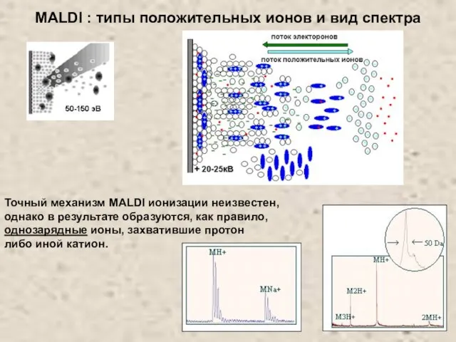 Точный механизм MALDI ионизации неизвестен, однако в результате образуются, как правило, однозарядные