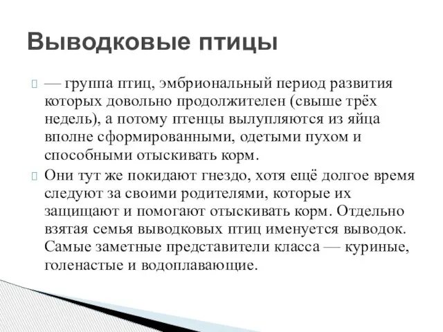 — группа птиц, эмбриональный период развития которых довольно продолжителен (свыше трёх недель),