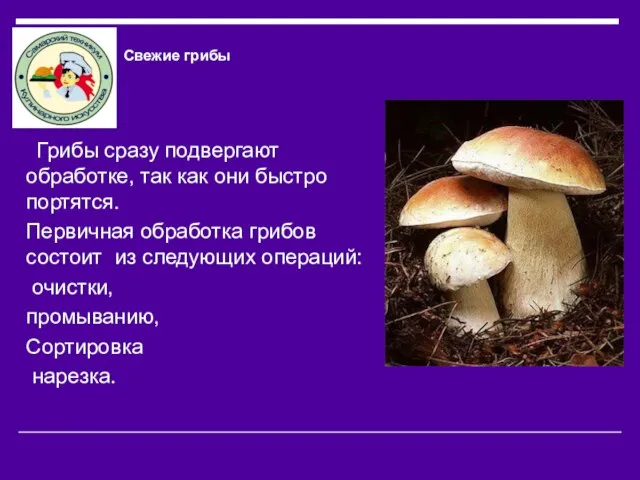 Свежие грибы Грибы сразу подвергают обработке, так как они быстро портятся. Первичная