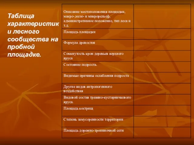 Таблица характеристики лесного сообщества на пробной площадке.