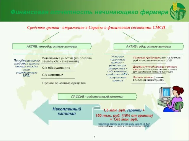 Средства гранта– отражение в Справке о финансовом состоянии СМСП Финансовая отчетность начинающего