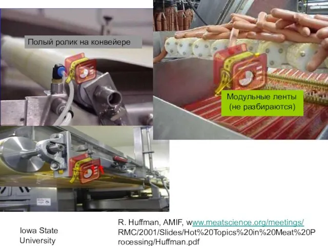 Iowa State University R. Huffman, AMIF, www.meatscience.org/meetings/ RMC/2001/Slides/Hot%20Topics%20in%20Meat%20Processing/Huffman.pdf Модульные ленты (не разбираются) Полый ролик на конвейере