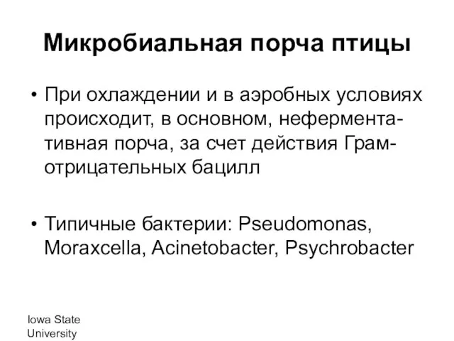 Iowa State University Микробиальная порча птицы При охлаждении и в аэробных условиях