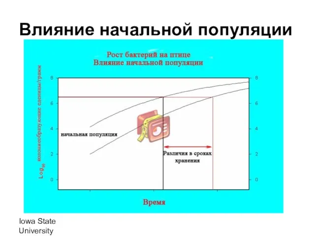 Iowa State University Влияние начальной популяции