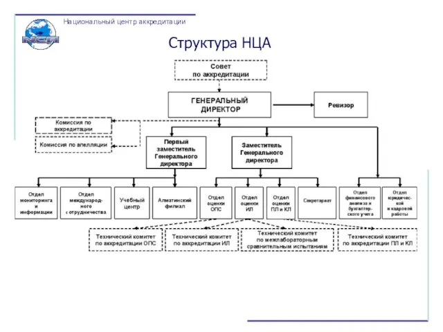 Структура НЦА