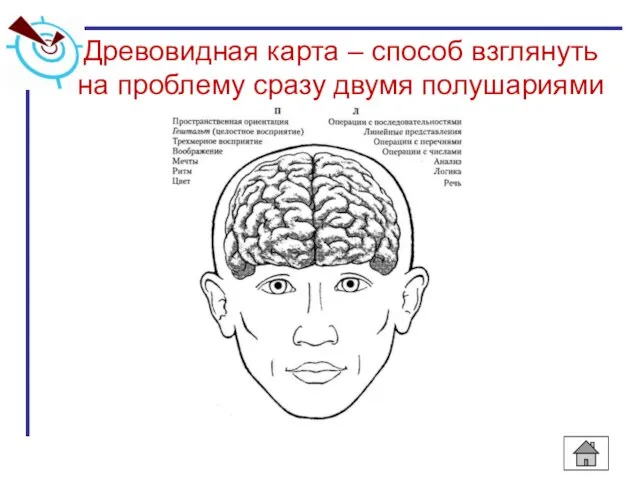 Древовидная карта – способ взглянуть на проблему сразу двумя полушариями