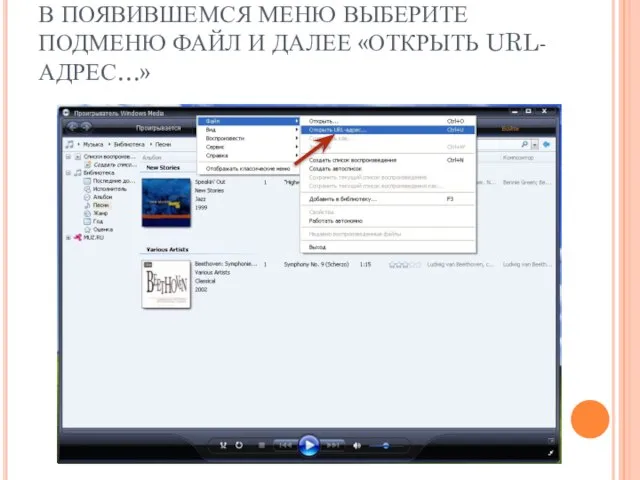 В ПОЯВИВШЕМСЯ МЕНЮ ВЫБЕРИТЕ ПОДМЕНЮ ФАЙЛ И ДАЛЕЕ «ОТКРЫТЬ URL-АДРЕС…»
