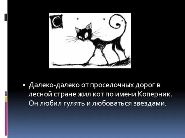 Далеко-далеко от проселочных дорог в лесной стране жил кот по имени Коперник.