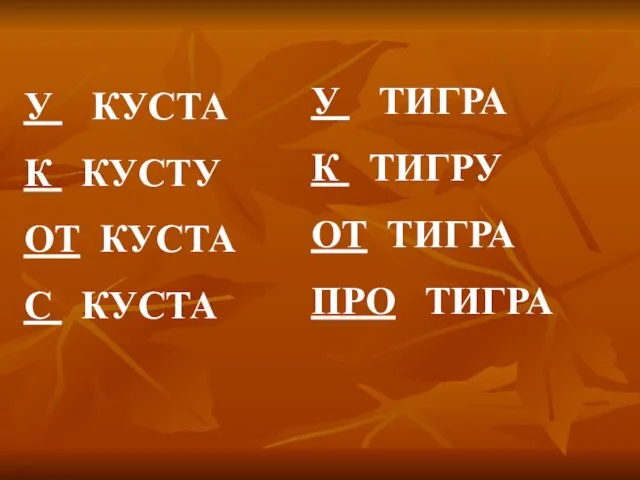 У КУСТА К КУСТУ ОТ КУСТА С КУСТА У ТИГРА К ТИГРУ ОТ ТИГРА ПРО ТИГРА