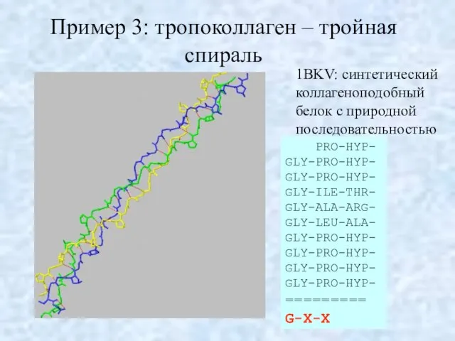 Пример 3: тропоколлаген – тройная спираль 1BKV: синтетический коллагеноподобный белок с природной