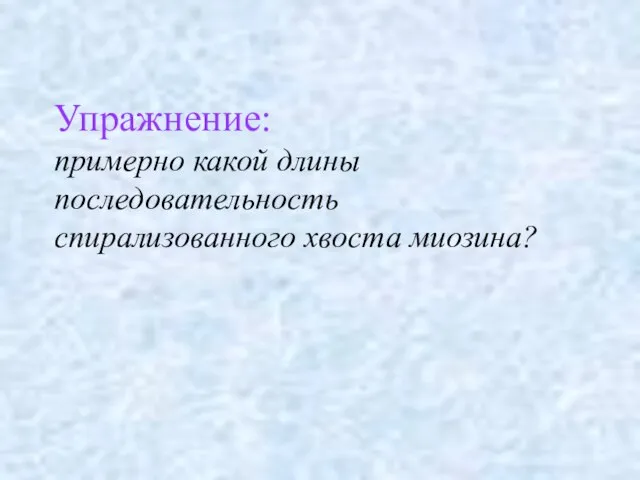 Упражнение: примерно какой длины последовательность спирализованного хвоста миозина?