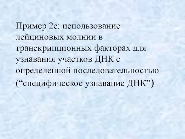 Пример 2e: использование лейциновых молнии в транскрипционных факторах для узнавания участков ДНК