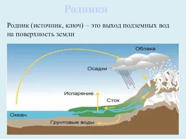 Родники Родник (источник, ключ) – это выход подземных вод на поверхность земли