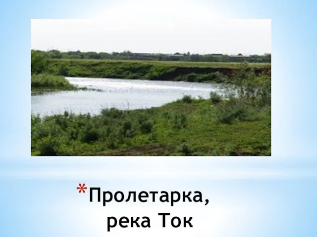 Пролетарка, река Ток