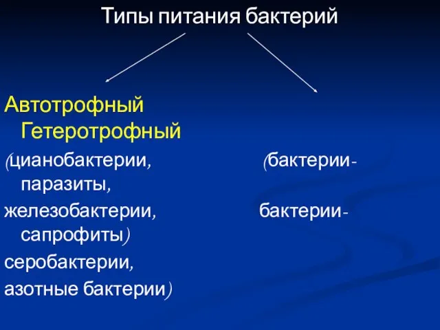 Типы питания бактерий Автотрофный Гетеротрофный (цианобактерии, (бактерии-паразиты, железобактерии, бактерии-сапрофиты) серобактерии, азотные бактерии)