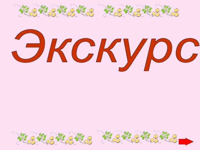 Экскурсии